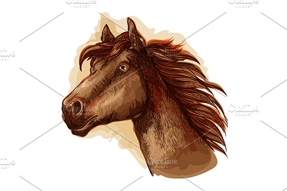 Brown mare horse head cover image.
