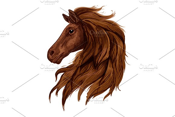 Sketch of brown horse cover image.