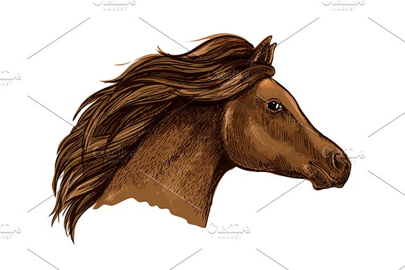 Sketched brown horse head cover image.