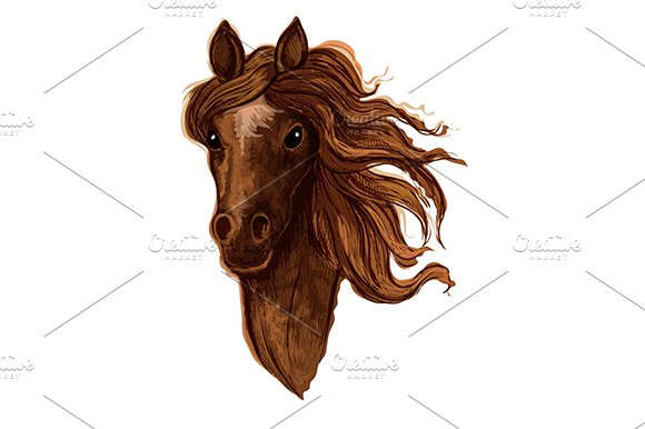 Sketch of brown arabian mare horse cover image.
