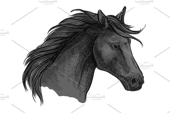 Sketched riding horse head cover image.