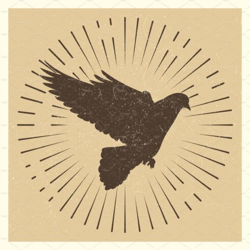 Dove vintage vector pigeon cover image.