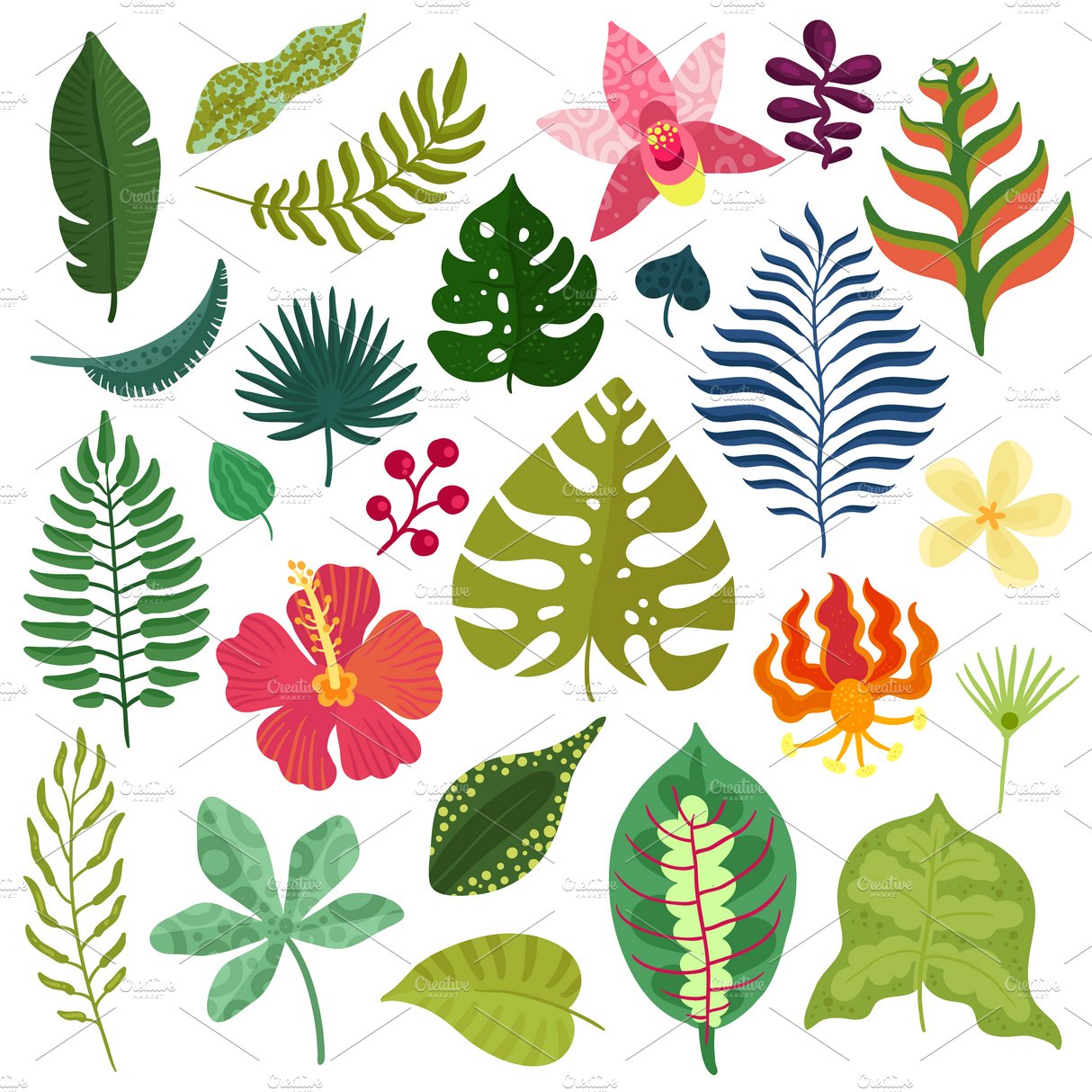 Tropical plants decorative elements cover image.