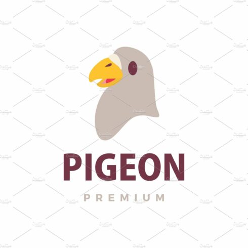 cute pigeon flat logo vector icon cover image.