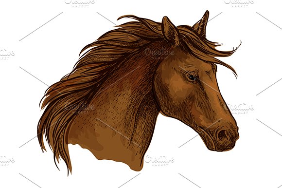 Horse Front View Drawing , Png Download - Horse Face Front View,  Transparent Png - vhv