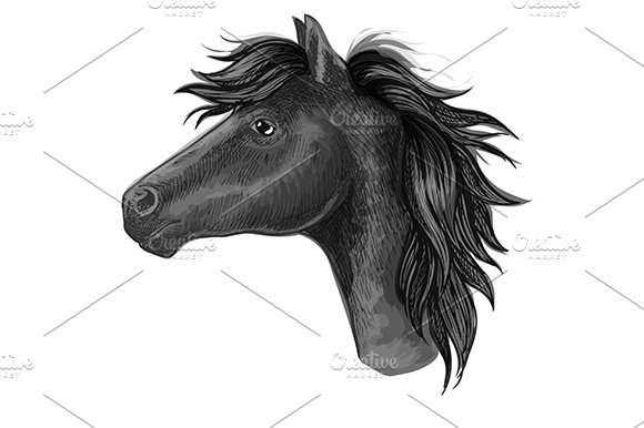 Black mare horse sketch cover image.