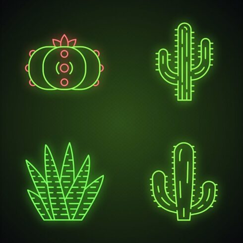 Wild cactuses neon light icons set cover image.