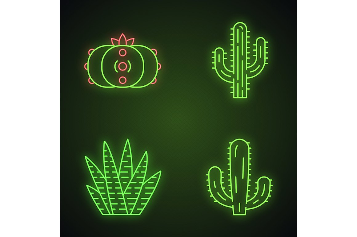 Wild cactuses neon light icons set cover image.