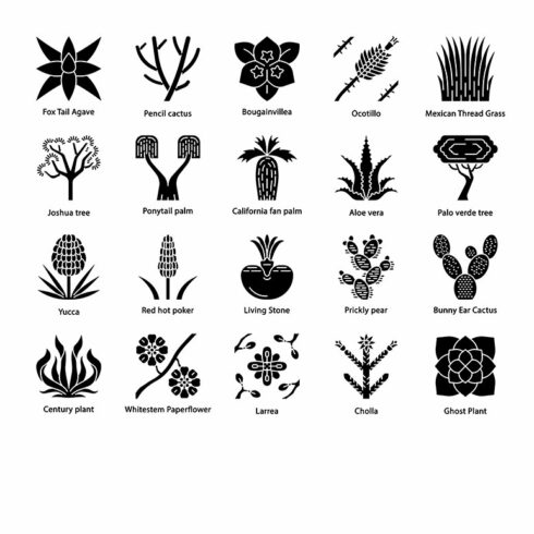 Desert plants glyph icons set cover image.