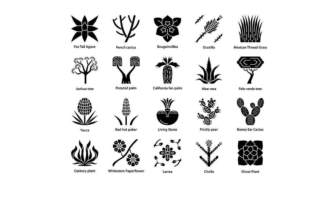 Desert plants glyph icons set cover image.