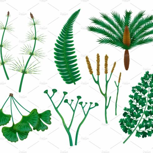 Prehistoric plants set cover image.