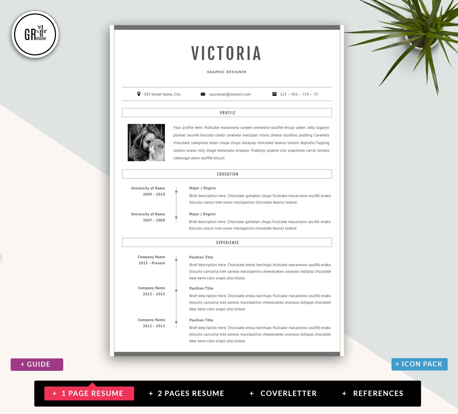 Professional CV Resume Template preview image.