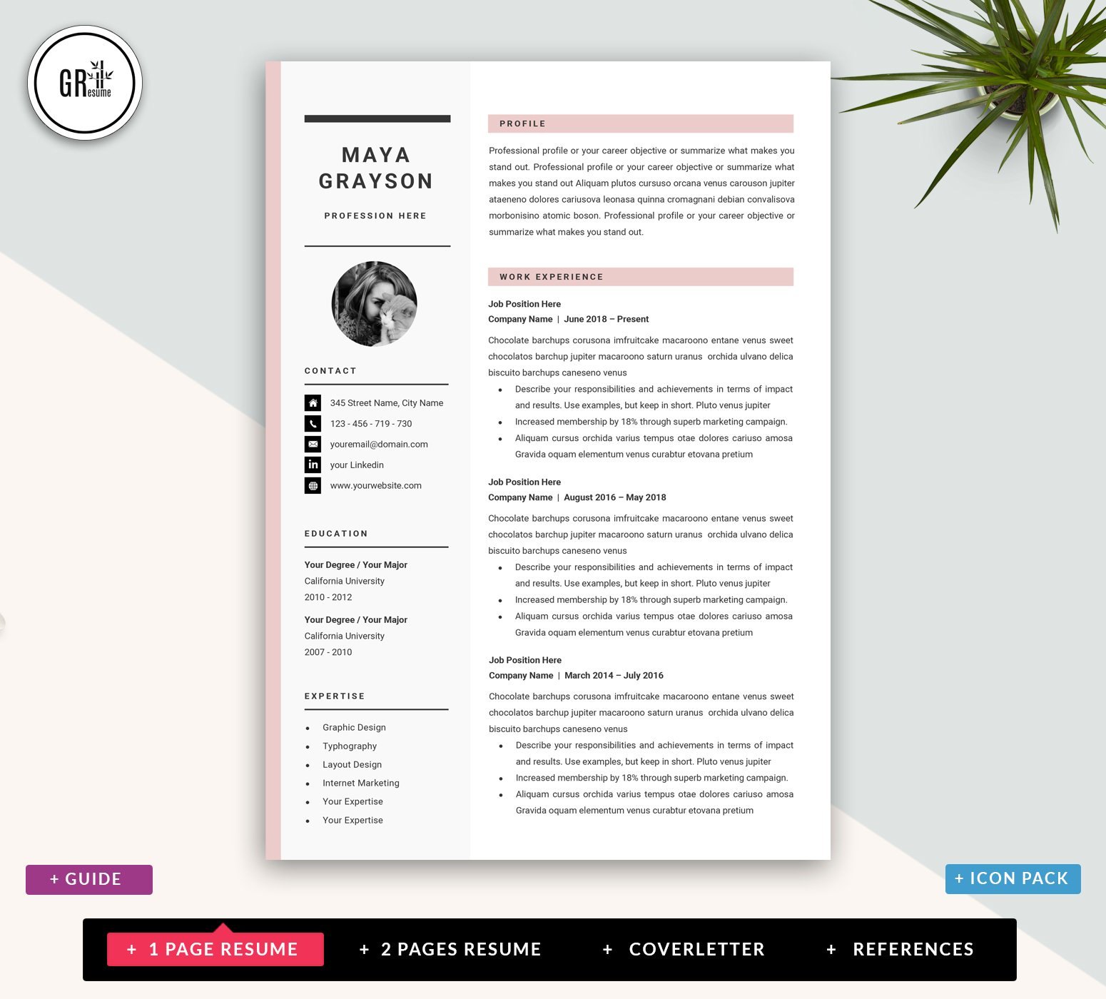 Professional Resume CV Template preview image.