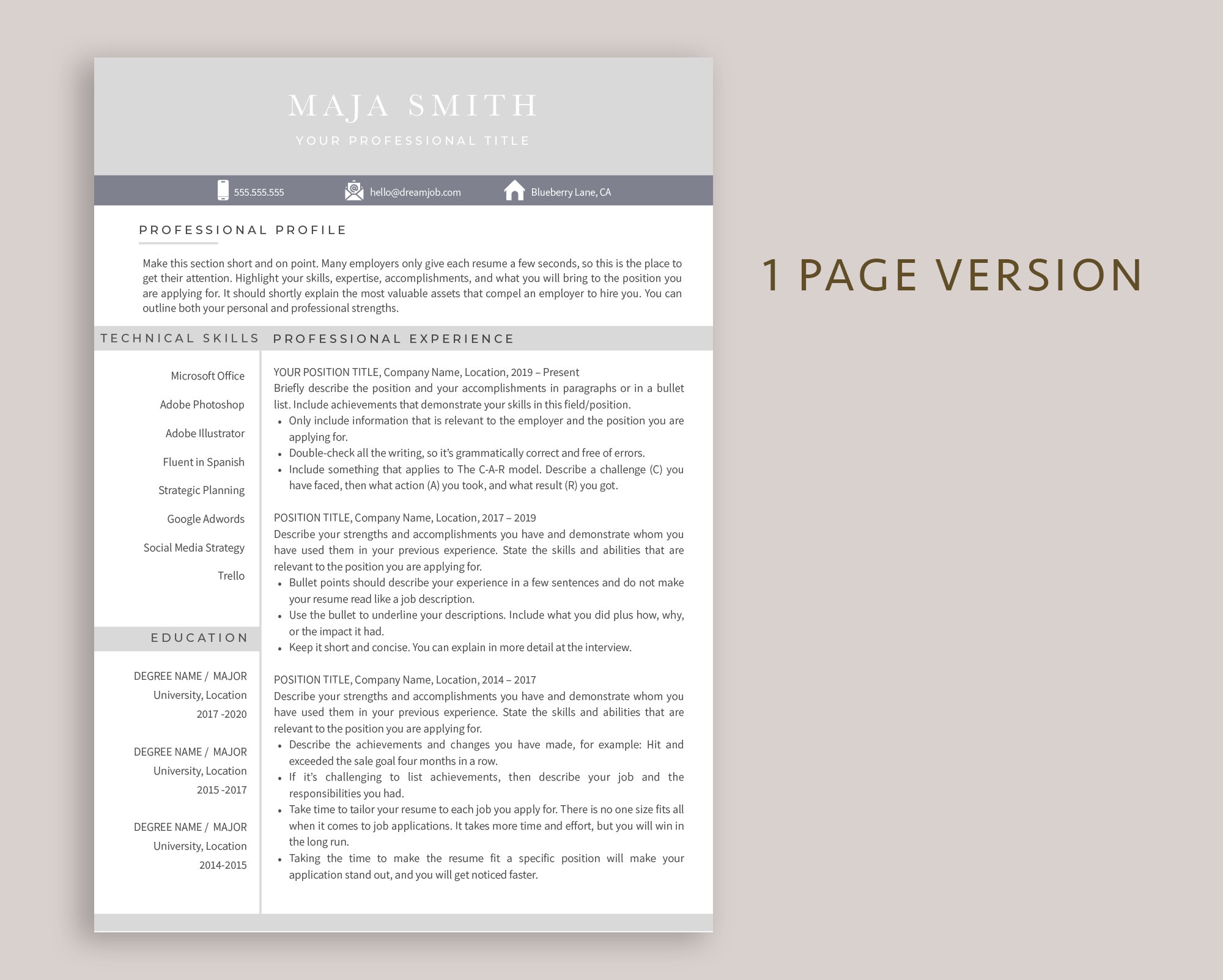 Resume Template Word + Pages preview image.