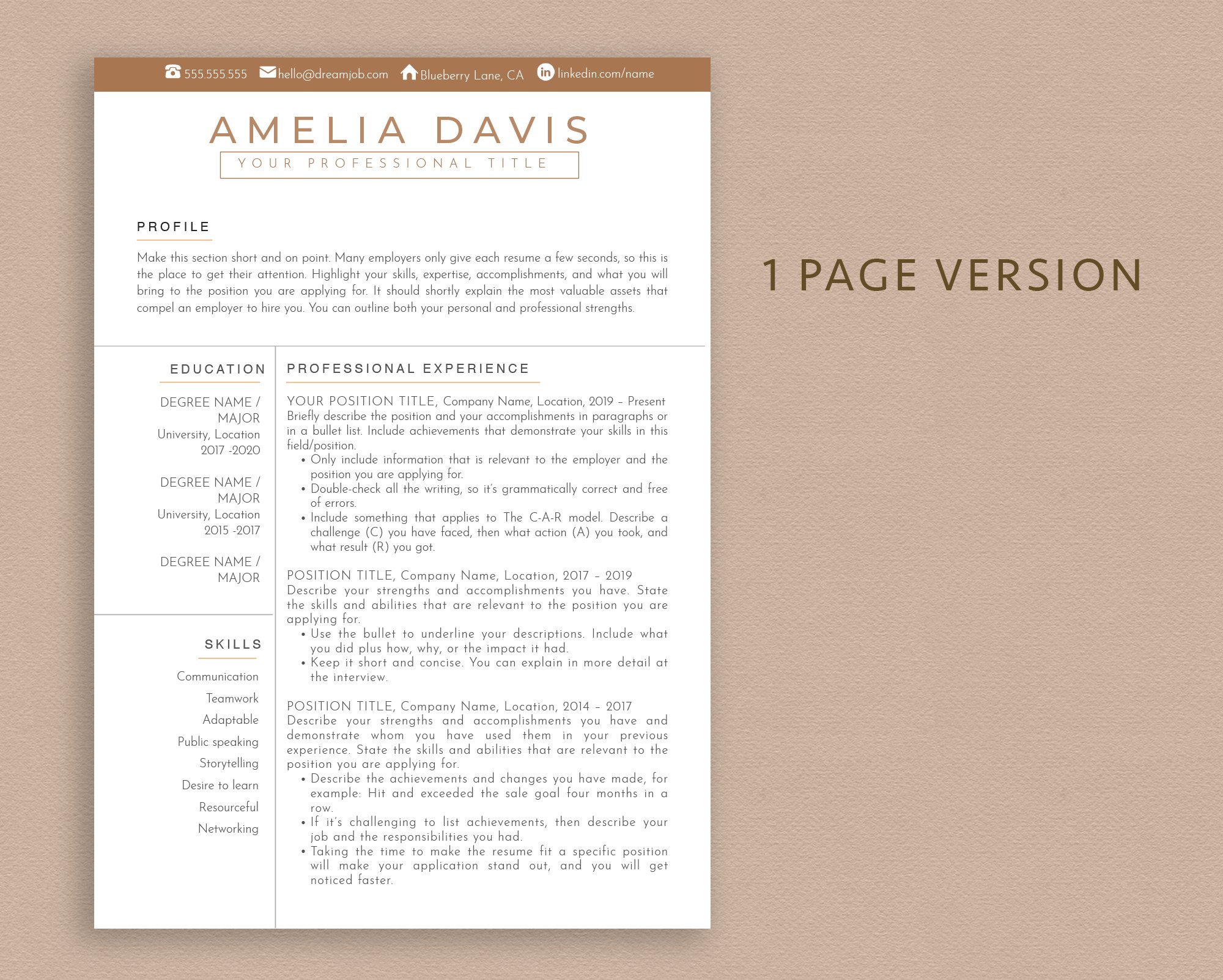Modern Resume Template Word & Pages preview image.