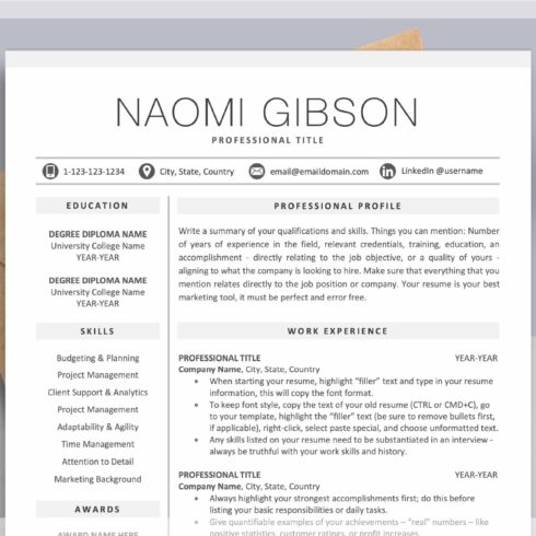 Best Resume CV Template | Mac & PC cover image.