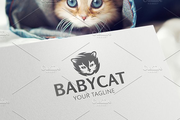 Baby Cat cover image.