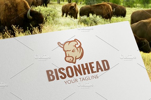 Bison Head cover image.