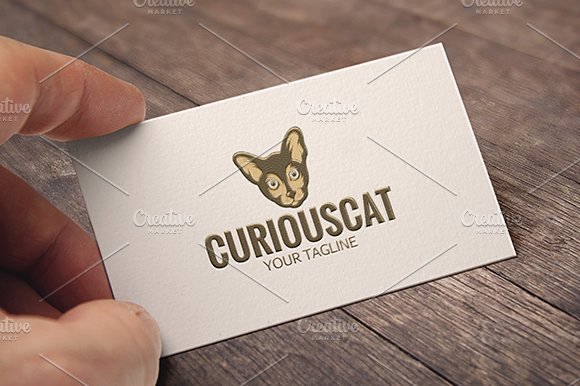 Curious Cat cover image.