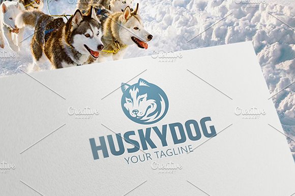 Husky Dog cover image.