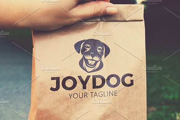 Joy Dog cover image.