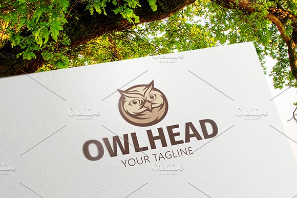 Owl Head cover image.