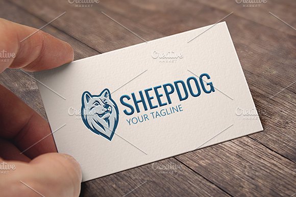 Sheepdog cover image.
