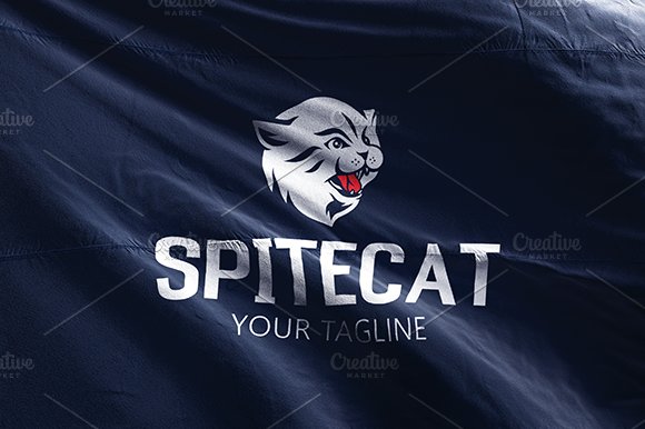 Spite Cat cover image.