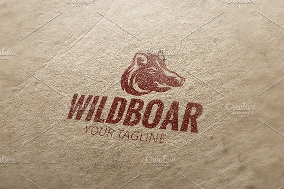 Wild Boar cover image.