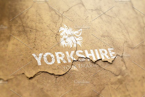 Yorkshire cover image.