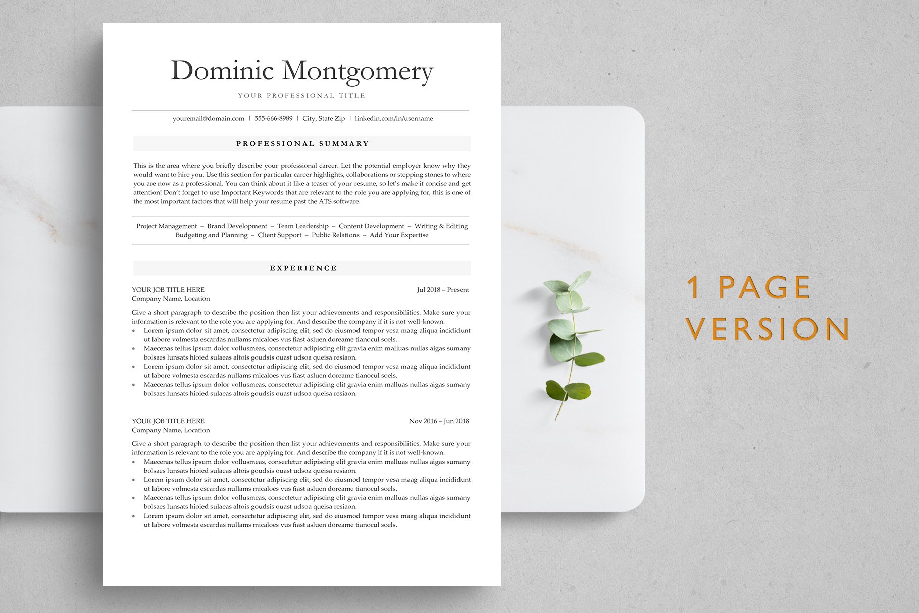 ATS Resume Template - DOMINIC preview image.