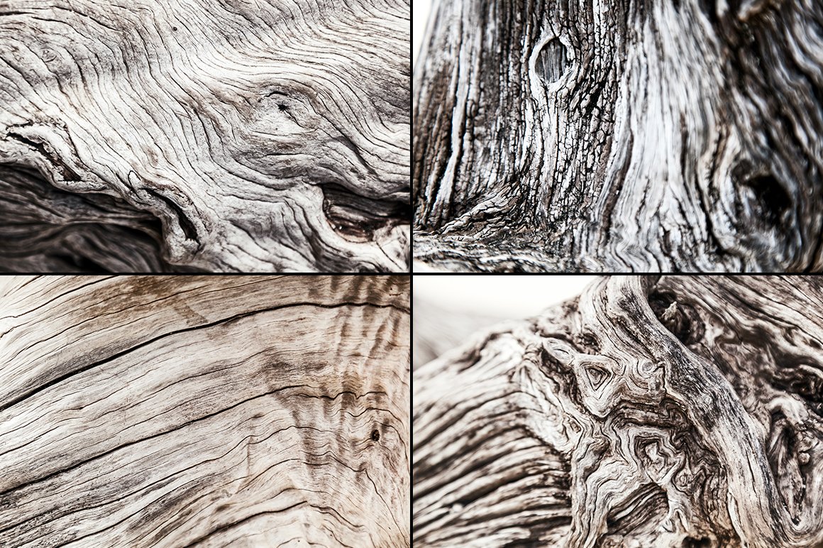 Weathered tree, set of 13 images preview image.