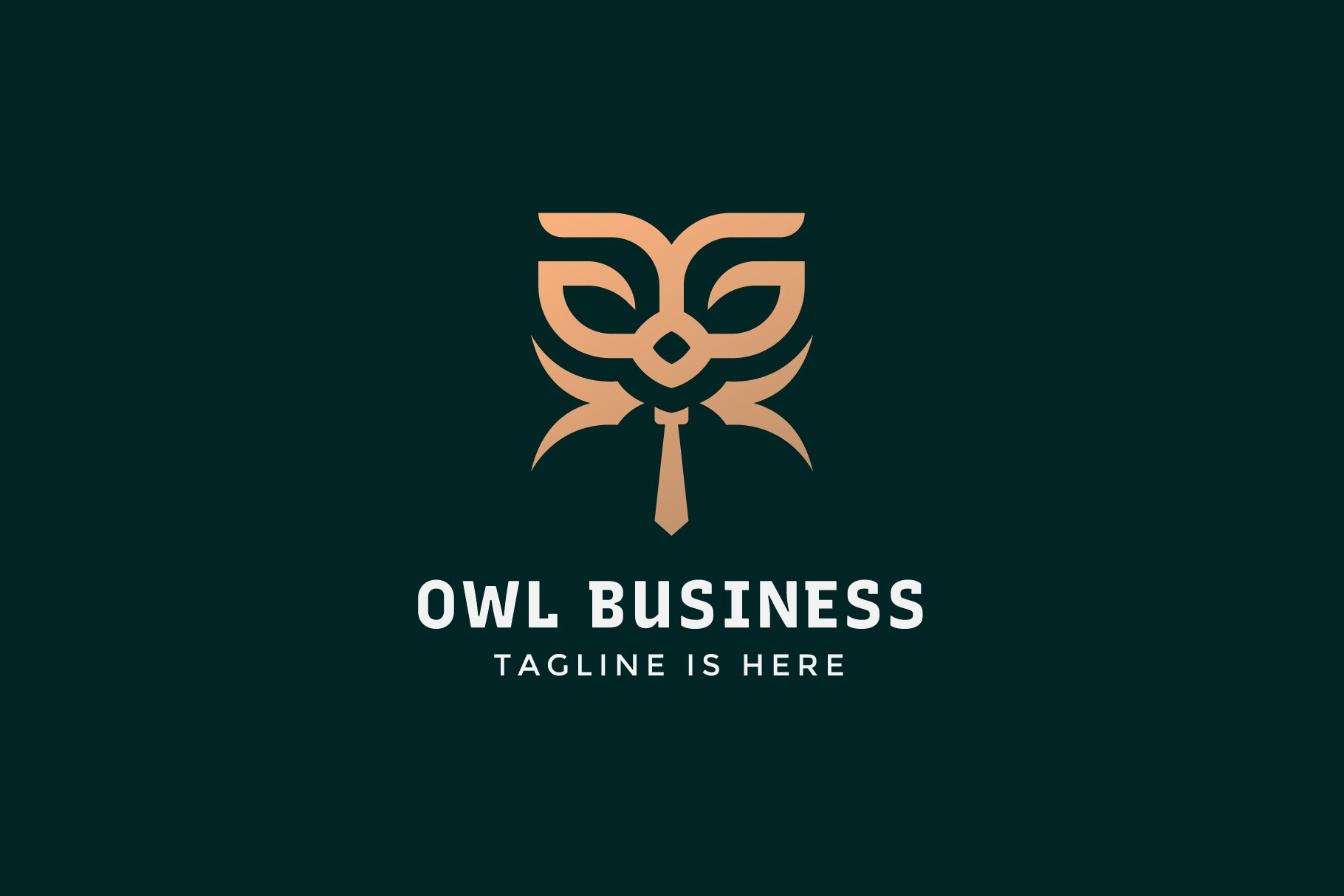 Owl Business Logo cover image.