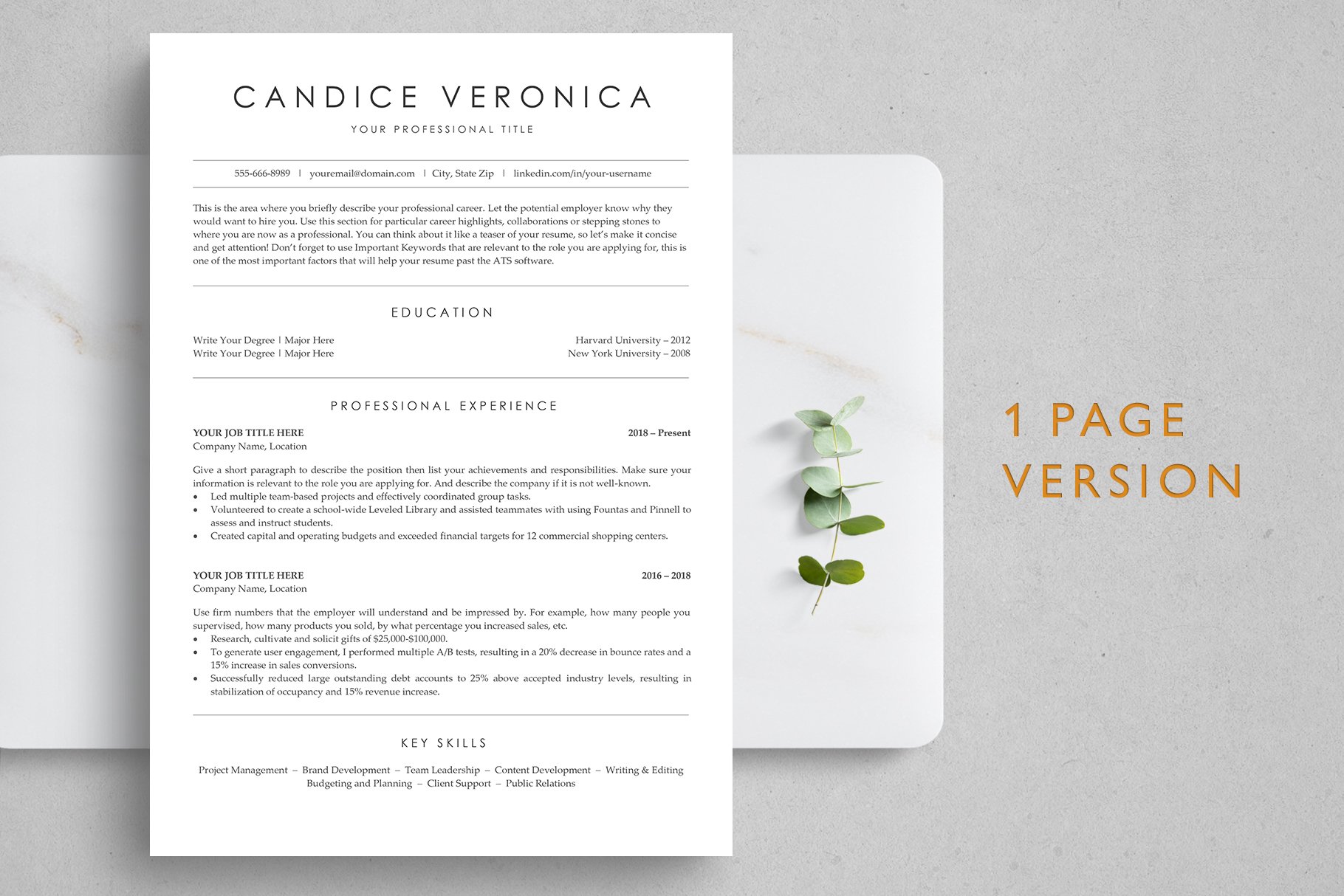 ATS Resume Template - CANDICE preview image.