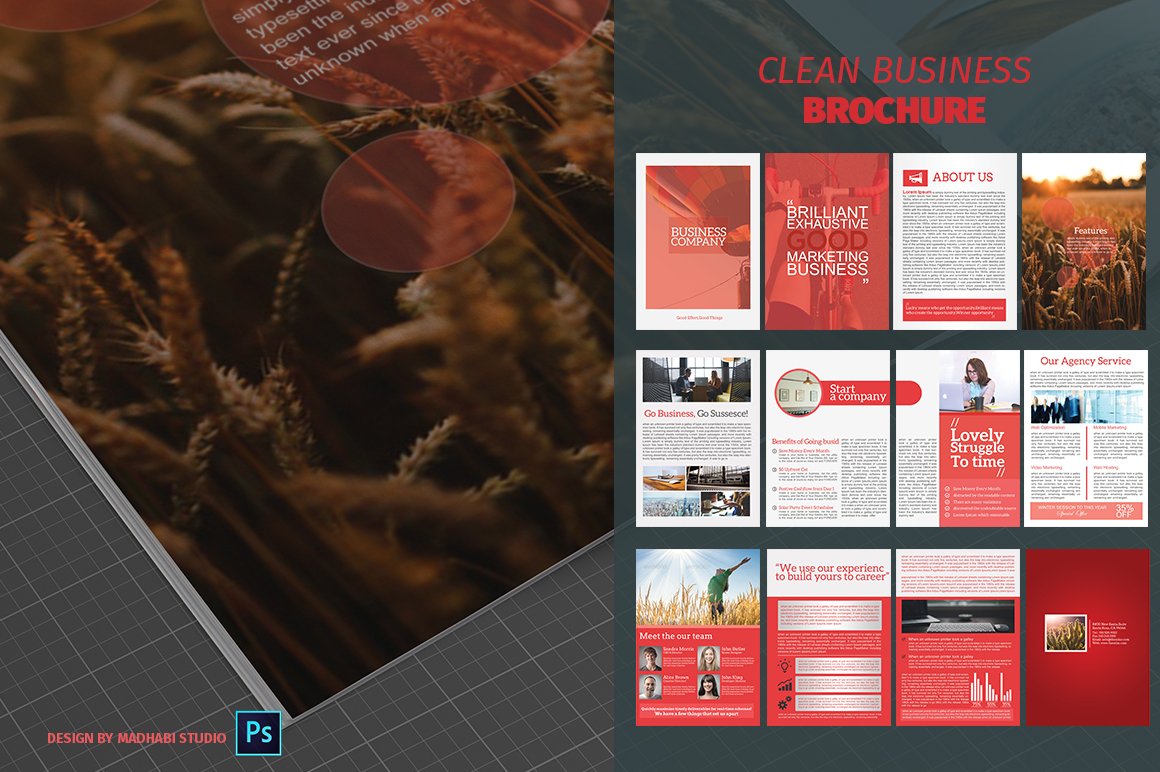Bi-fold Business Brochure 12Pages preview image.