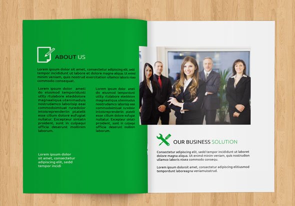 InDesign Corporate Brochure-V95 preview image.