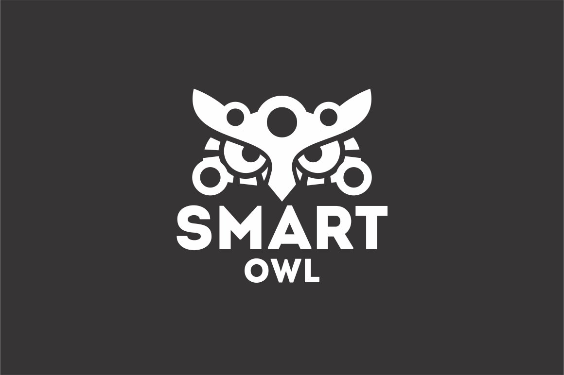 Smart Tech Owl Logo preview image.