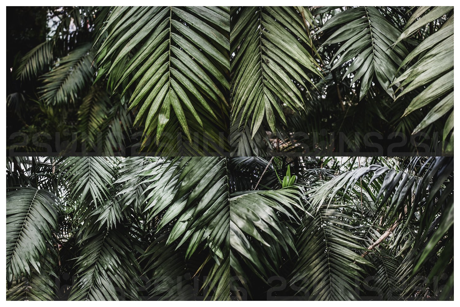 Tropical Photoshop textures preview image.