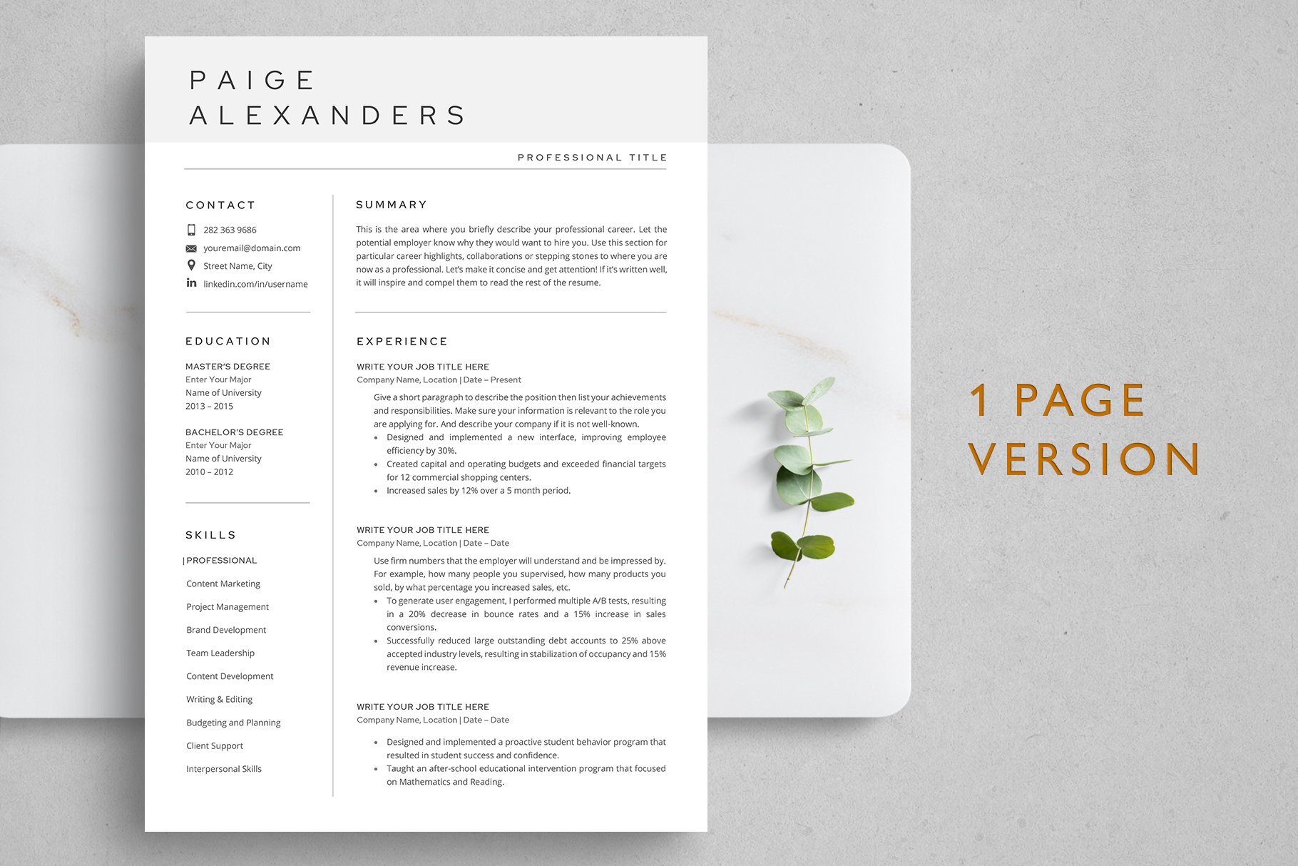 Modern Resume Template preview image.