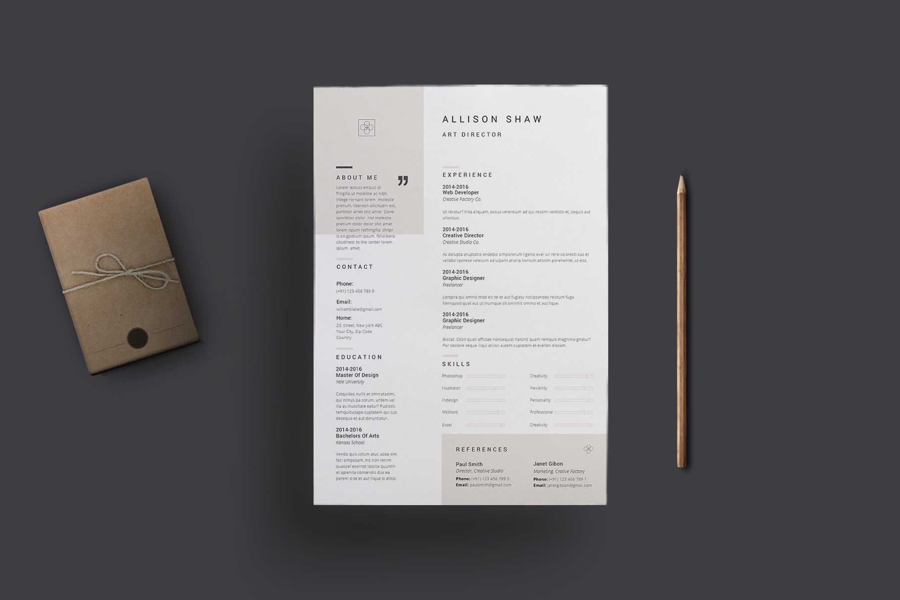 Theta Resume Template preview image.