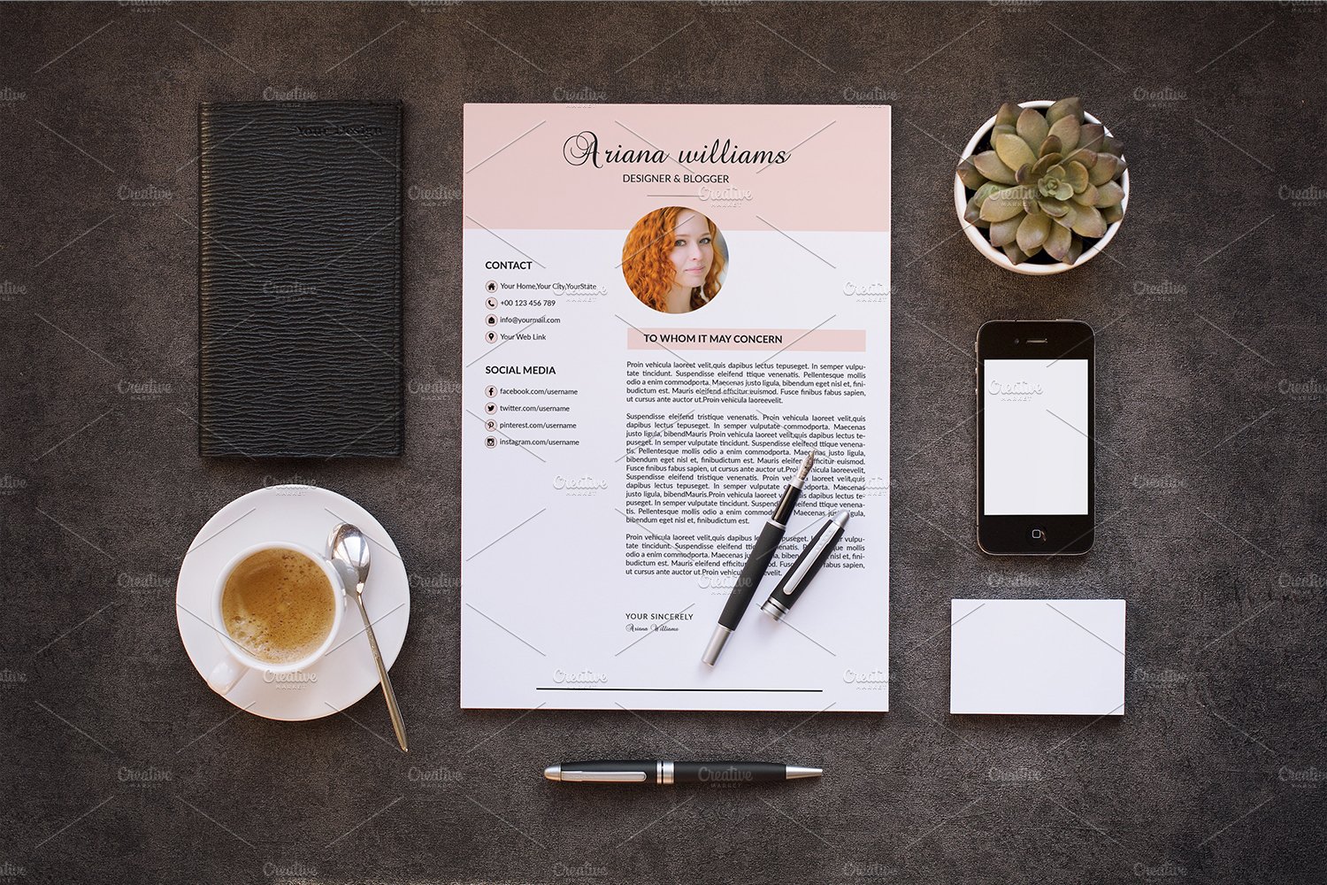 Professional Resume Template-V022 preview image.