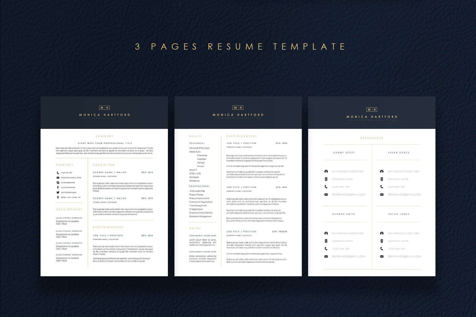 3 Pages Elegant Resume/CV Template M preview image.