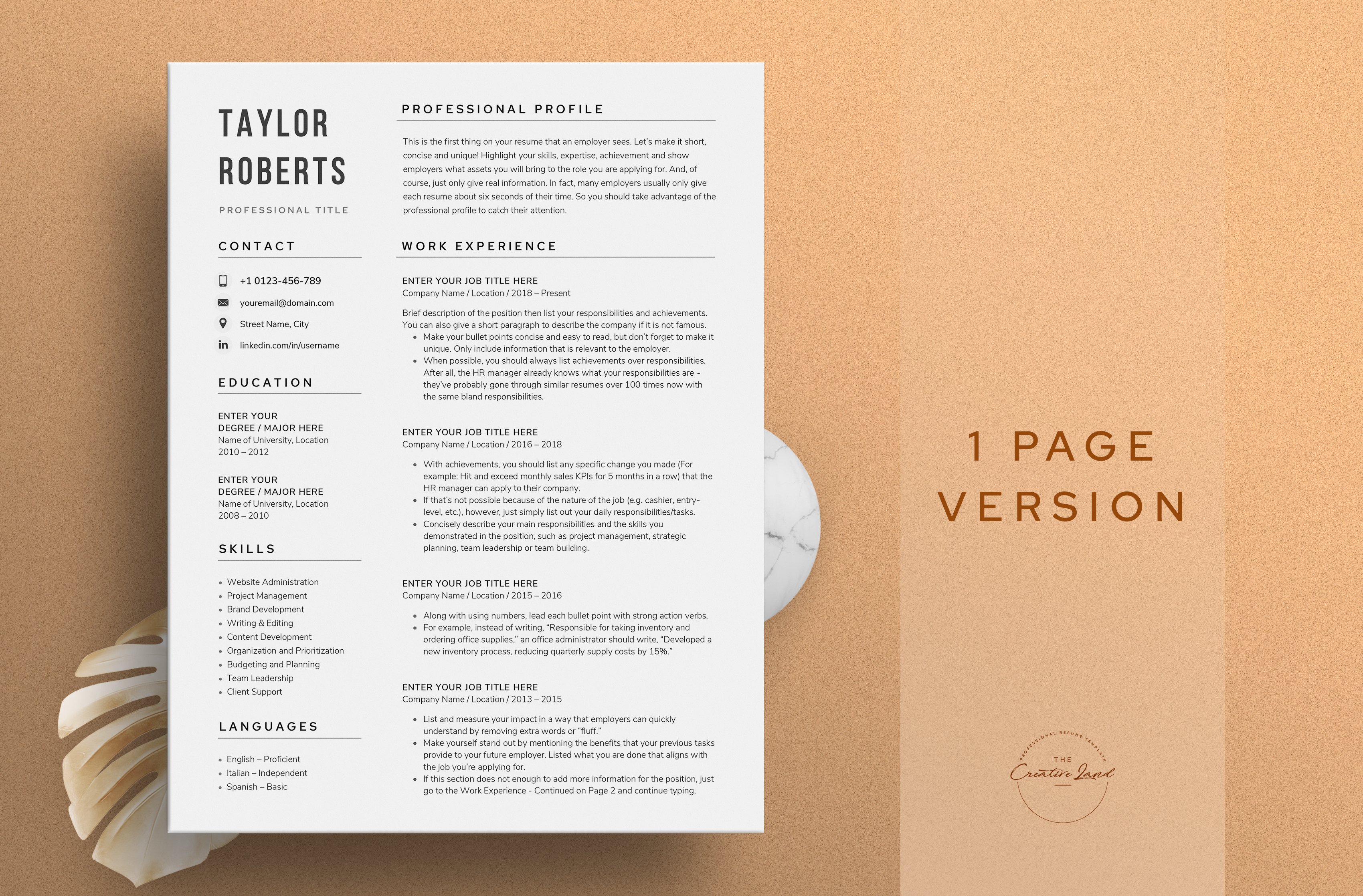 Resume/CV - The Taylor preview image.