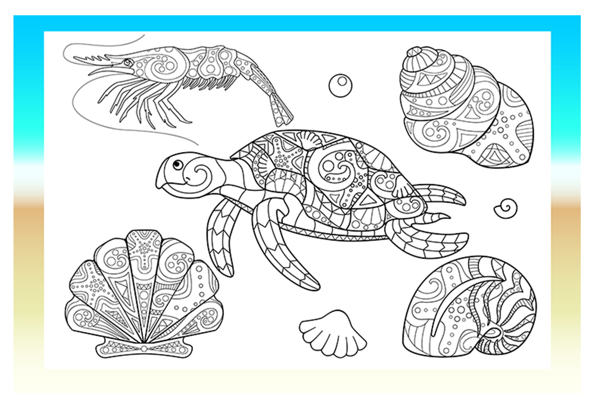Coloring page with a turtle and shells.