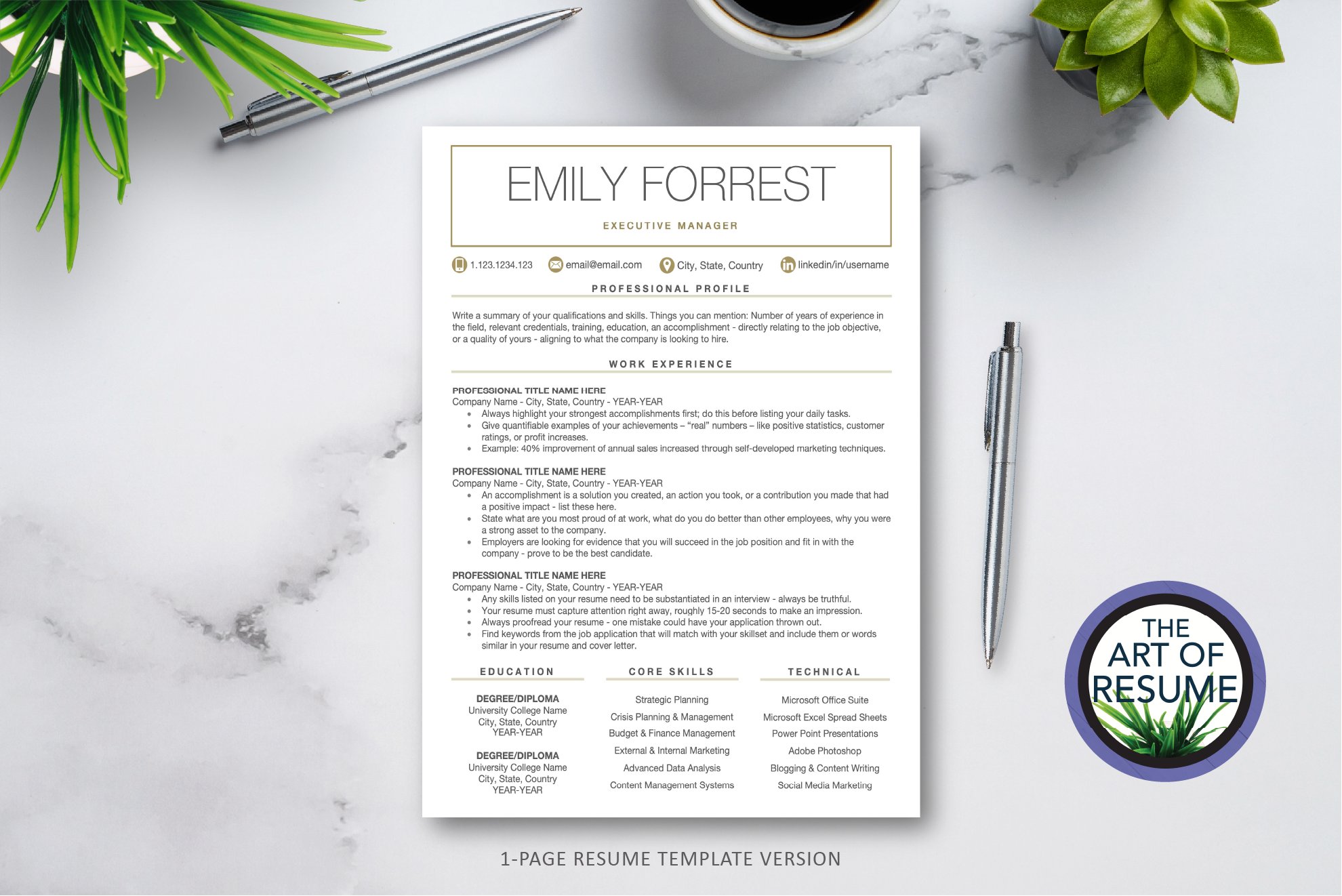 Professional Resume Template Design preview image.