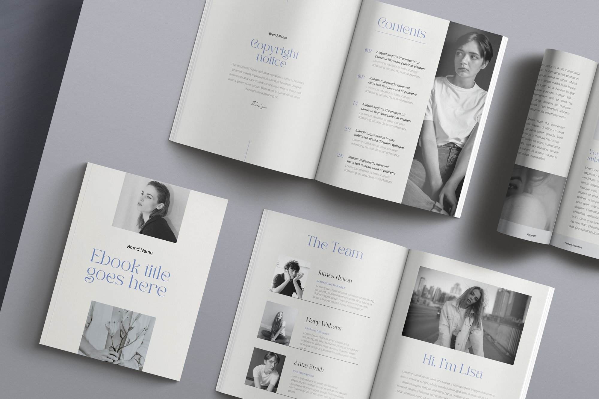 FLAWLESS | Ebook Canva Template preview image.