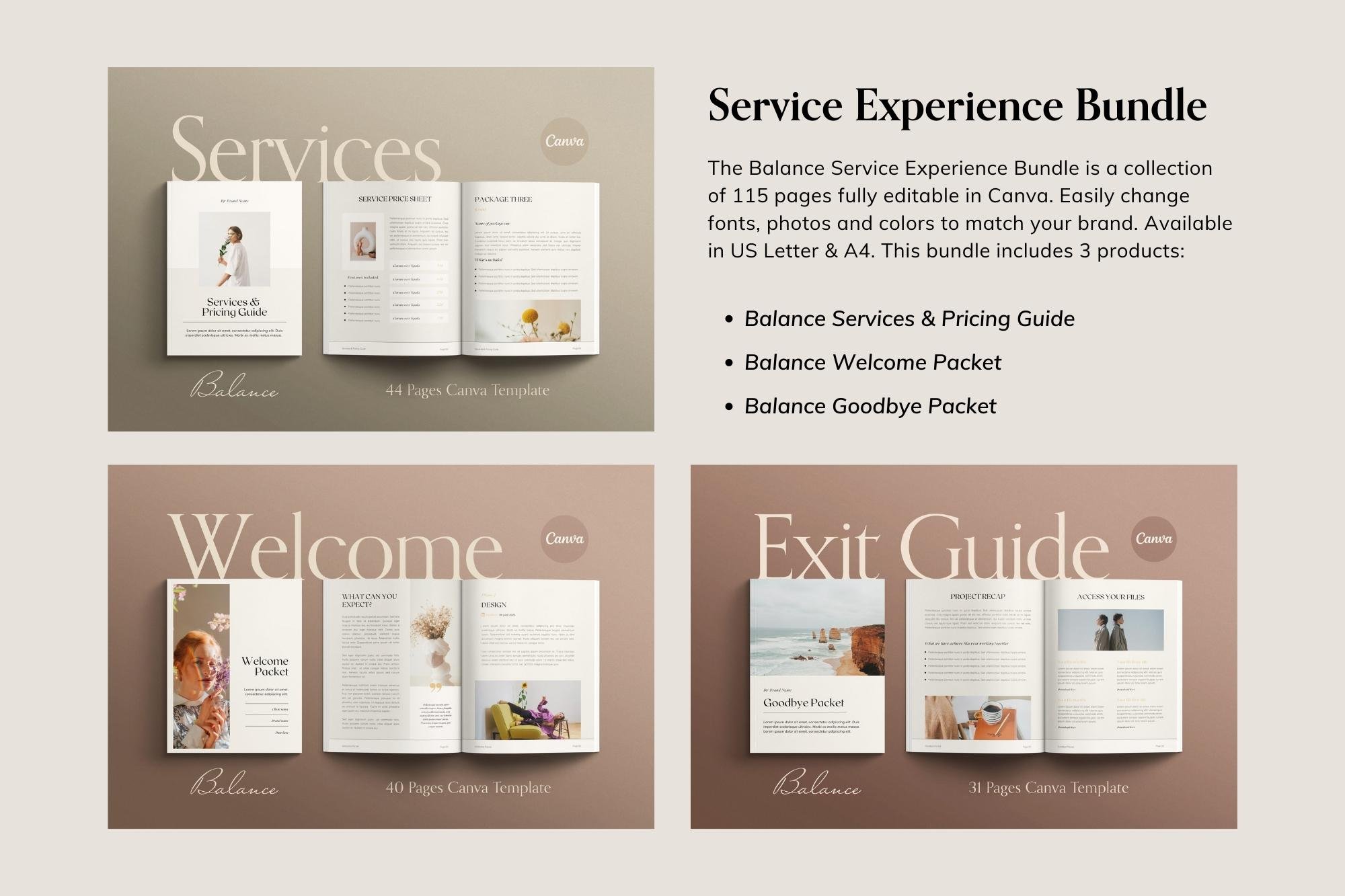 Client Service Experience Templates preview image.