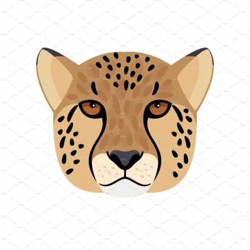Cheetah head icon cover image.