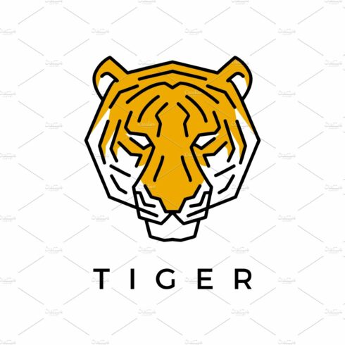 tiger head logo vector icon cover image.