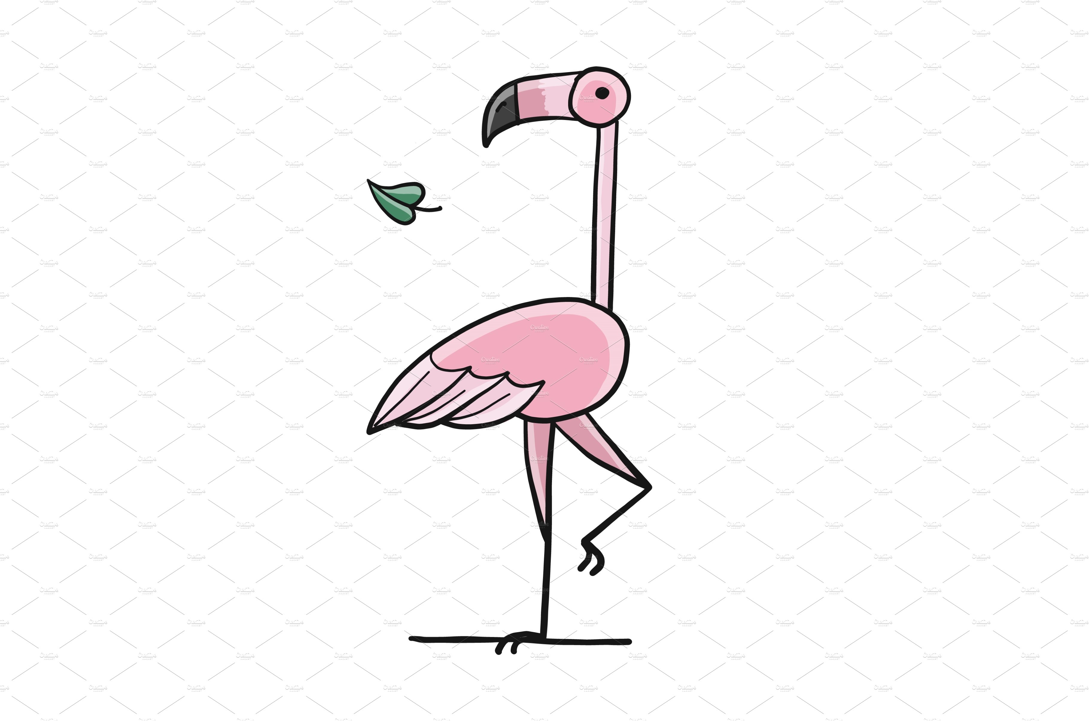 Pink Flamingo isolated on white cover image.